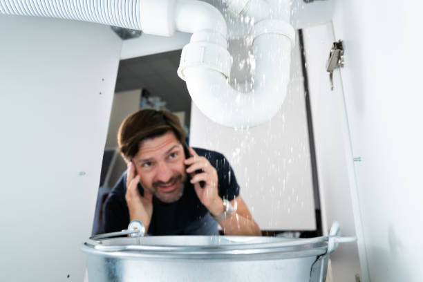 Best Septic Systems  in Blackshear, GA