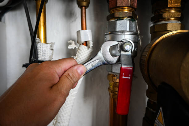 Best Local Plumber Services  in Blackshear, GA